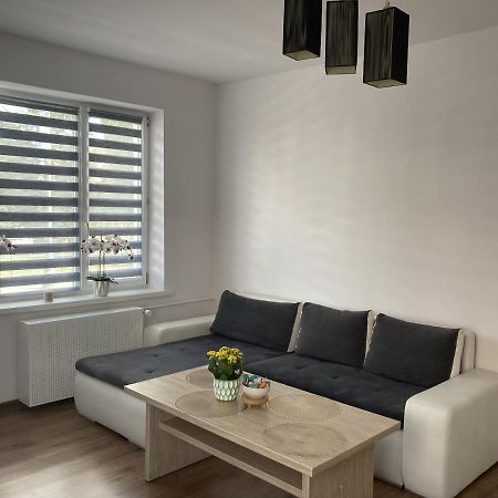 Apartament W Centrum Malborka Kültér fotó