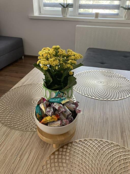Apartament W Centrum Malborka Kültér fotó