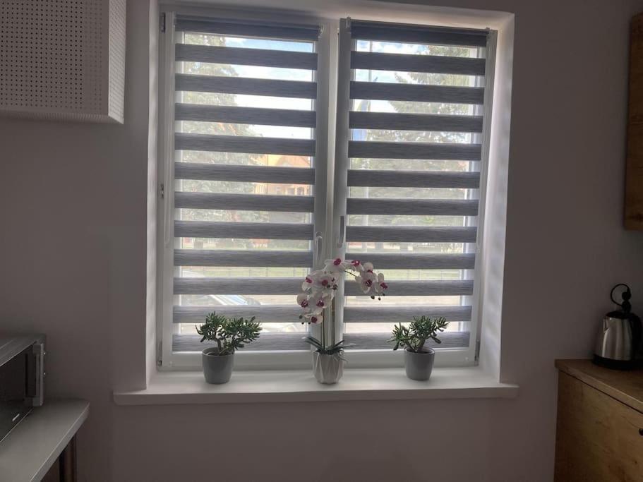 Apartament W Centrum Malborka Kültér fotó